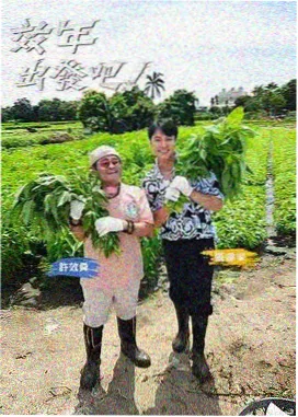 濑户的花嫁 动漫 群像喜剧配角分析配图
